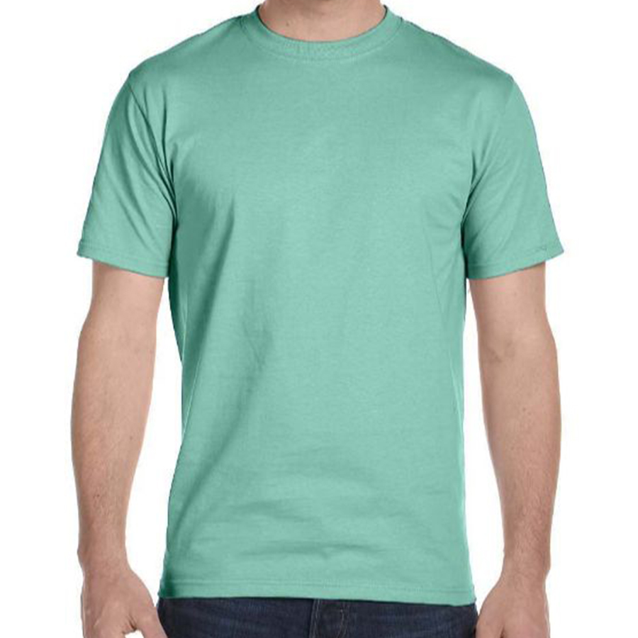 Hanes Beefy 100% Cotton T-Shirt — ZEIDEL & co.
