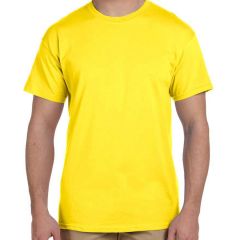 Fruit of the Loom Adult HD T-Shirt