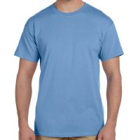 Hanes ComfortBlend EcoSmart T-Shirt